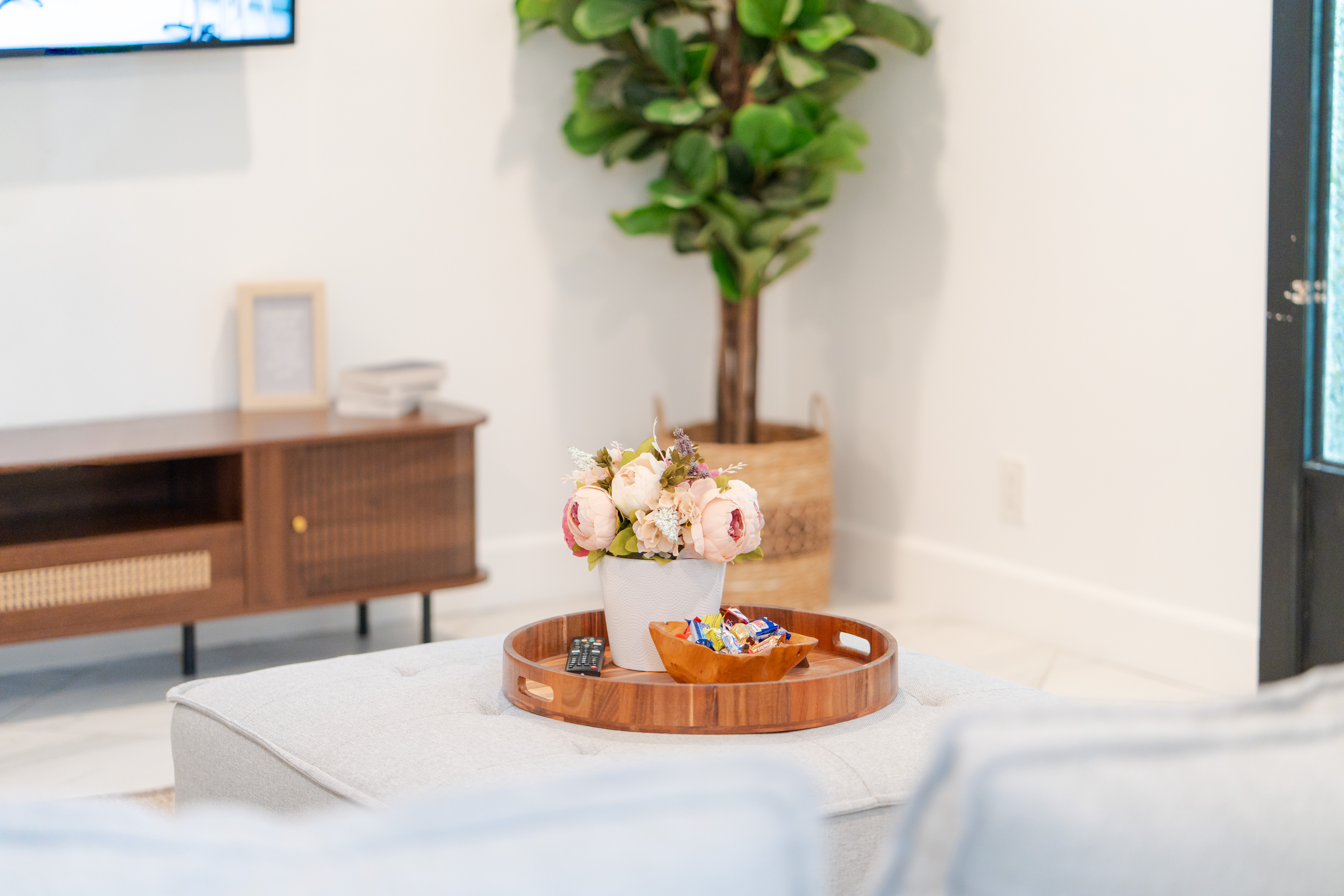 Tranquil Living Space